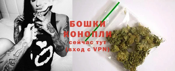 2c-b Гусев