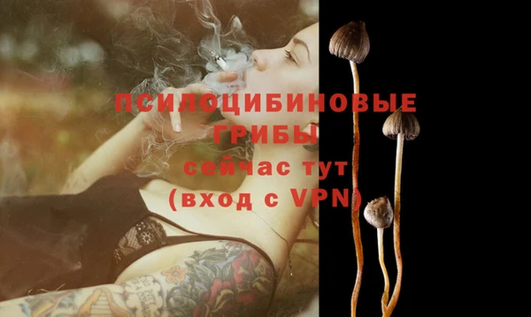 спиды Гусиноозёрск