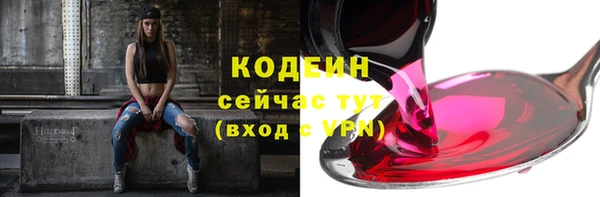 2c-b Гусев