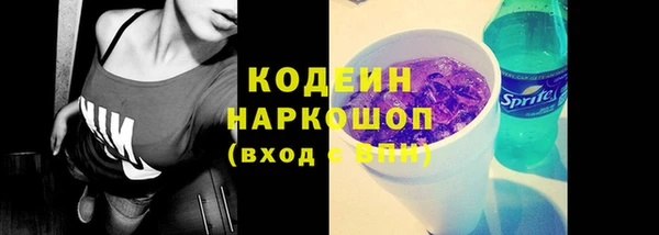 2c-b Гусев
