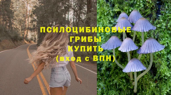 спиды Гусиноозёрск