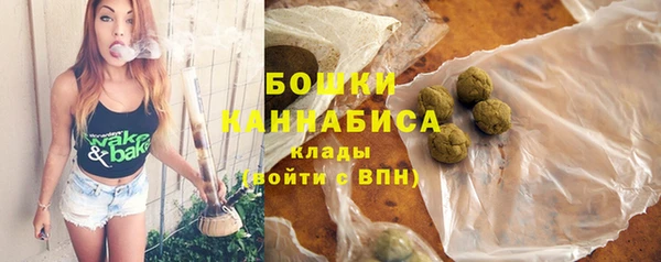 2c-b Гусев