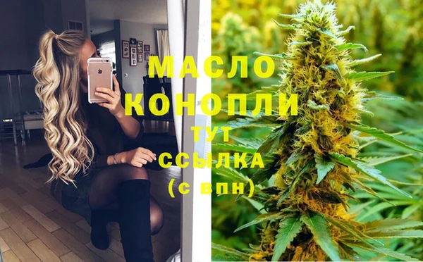 2c-b Гусев