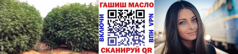 Купить где  Сызрань  Дистиллят ТГК THC oil 